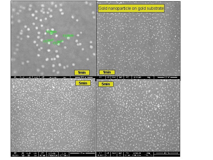 Gold nanoparticle on gold substrate 1 min 5 min 