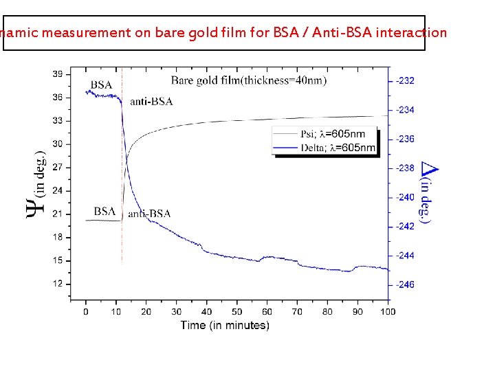 namic measurement on bare gold film for BSA / Anti-BSA interaction 