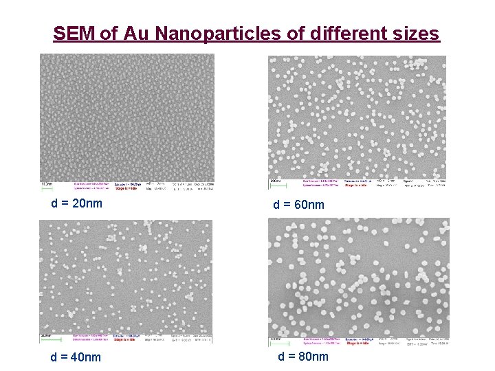 SEM of Au Nanoparticles of different sizes d = 20 nm d = 40