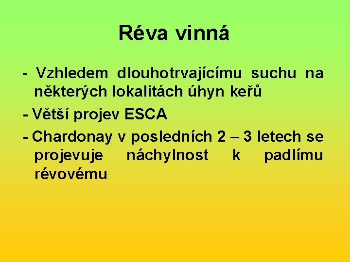 Réva vinná - Vzhledem dlouhotrvajícímu suchu na některých lokalitách úhyn keřů - Větší projev