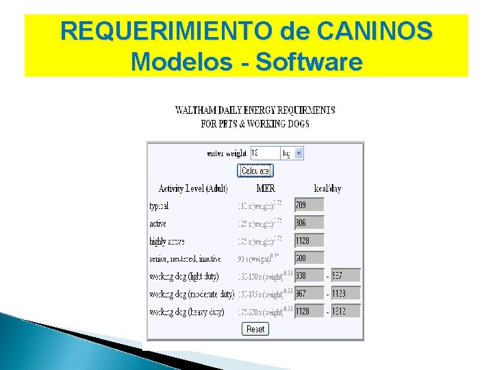 REQUERIMIENTO de CANINOS Modelos - Software 