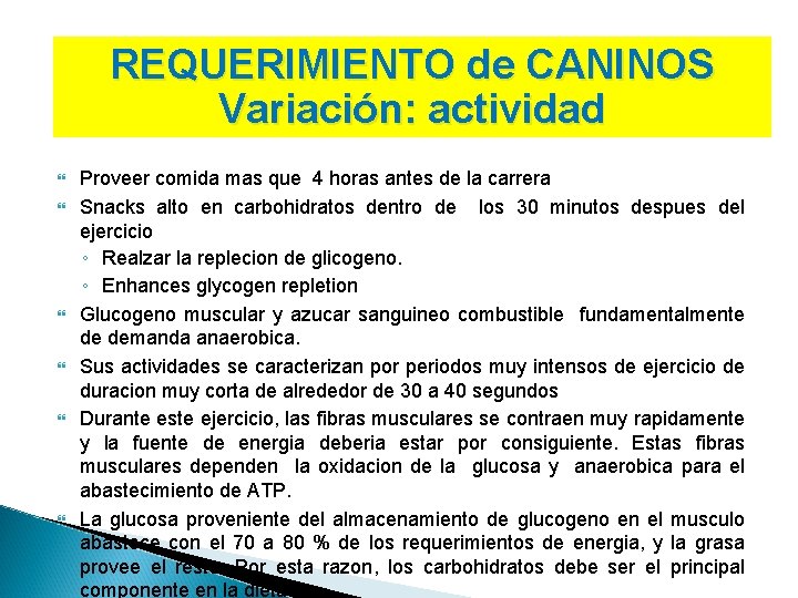 REQUERIMIENTO de CANINOS Variación: actividad Proveer comida mas que 4 horas antes de la