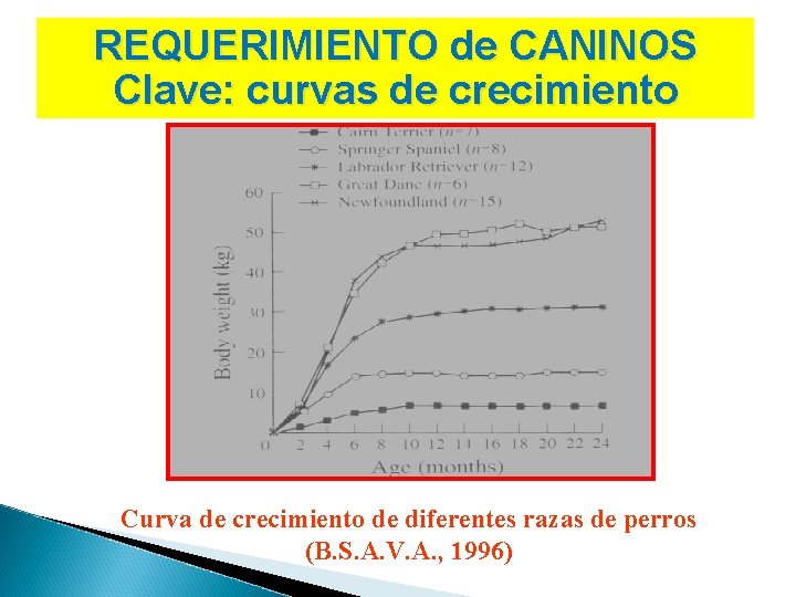 REQUERIMIENTO de CANINOS Clave: curvas de crecimiento Curva de crecimiento de diferentes razas de