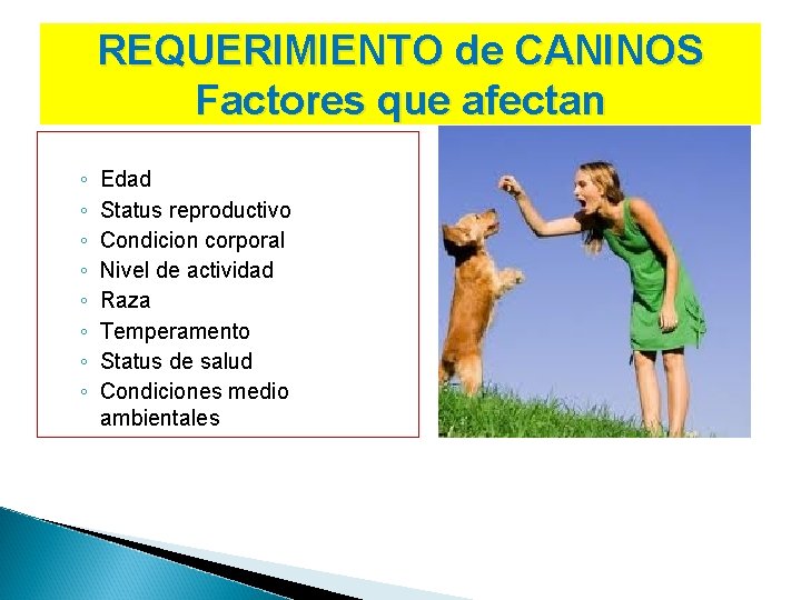 REQUERIMIENTO de CANINOS Factores que afectan ◦ ◦ ◦ ◦ Edad Status reproductivo Condicion