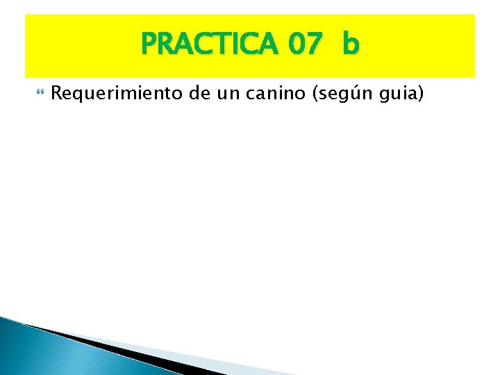 PRACTICA 07 b Requerimiento de un canino (según guia) 