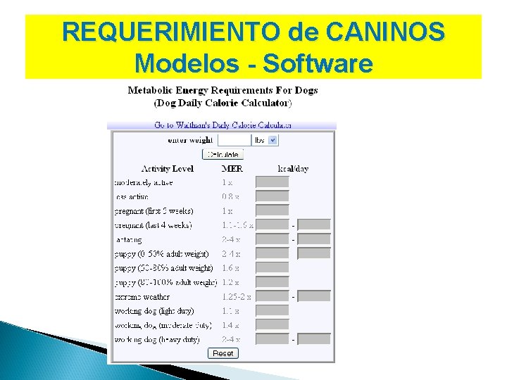 REQUERIMIENTO de CANINOS Modelos - Software 