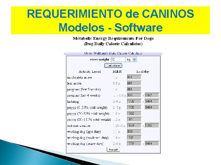 REQUERIMIENTO de CANINOS Modelos - Software 