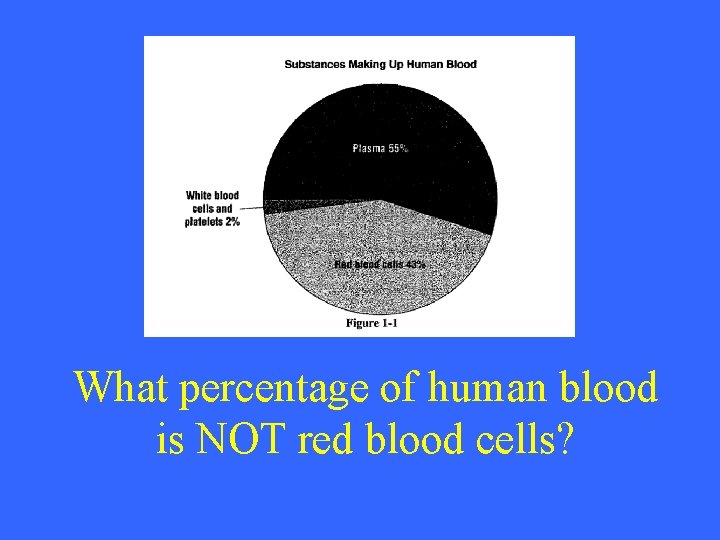 What percentage of human blood is NOT red blood cells? 