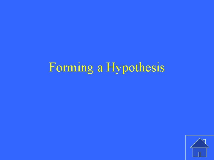 Forming a Hypothesis 