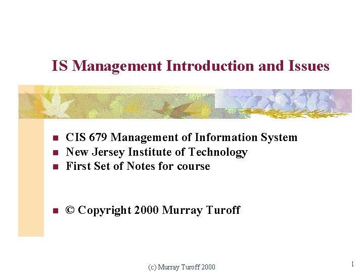 IS Management Introduction and Issues n CIS 679 Management of Information System New Jersey