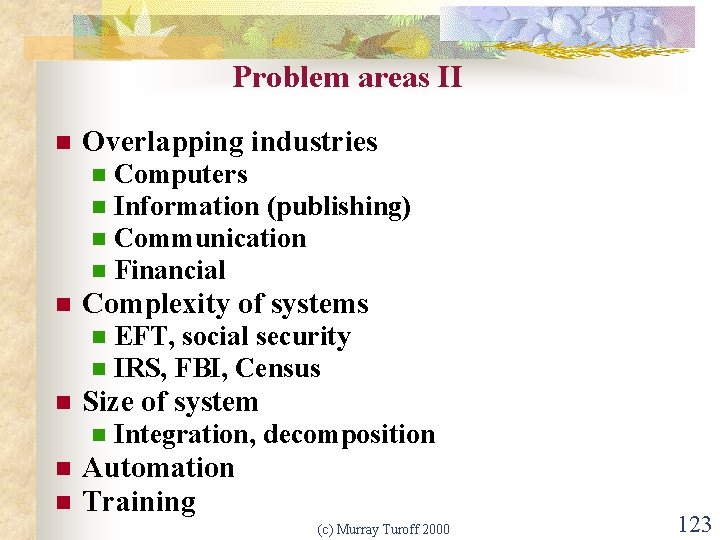 Problem areas II n Overlapping industries n n n Complexity of systems n n