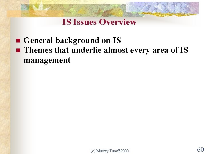 IS Issues Overview n n General background on IS Themes that underlie almost every