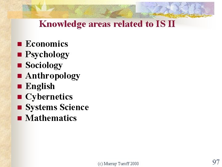 Knowledge areas related to IS II n n n n Economics Psychology Sociology Anthropology