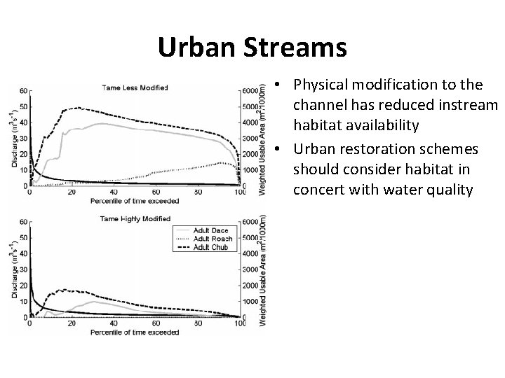 Urban Streams • Physical modification to the channel has reduced instream habitat availability •
