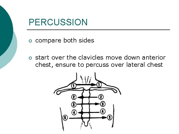 PERCUSSION ¡ compare both sides ¡ start over the clavicles move down anterior chest,