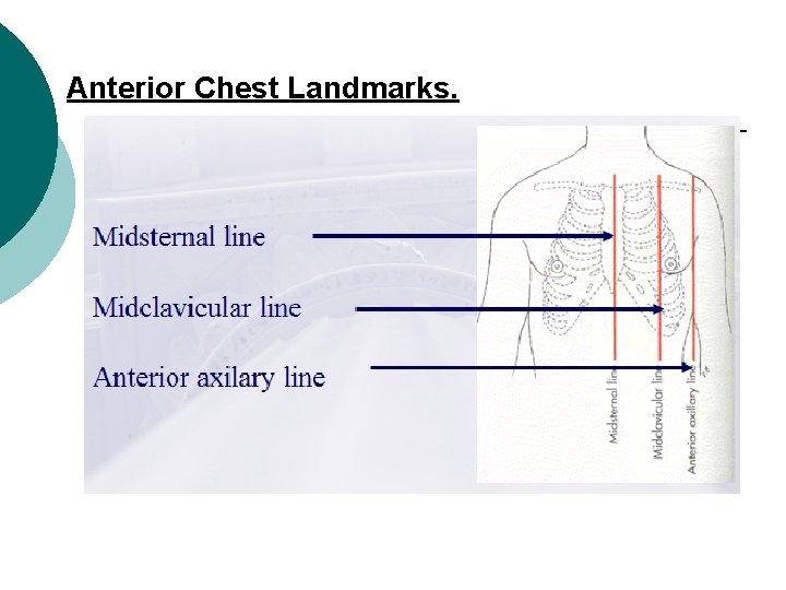 Anterior Chest Landmarks. 