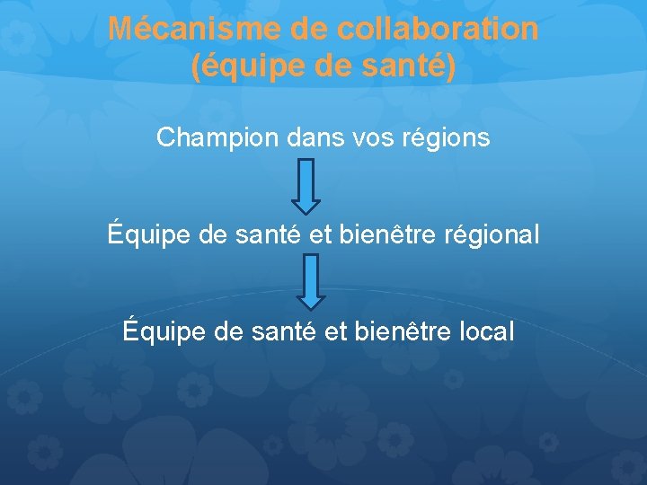 Mécanisme de collaboration (équipe de santé) Champion dans vos régions Équipe de santé et