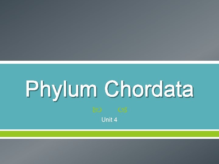 Phylum Chordata Unit 4 