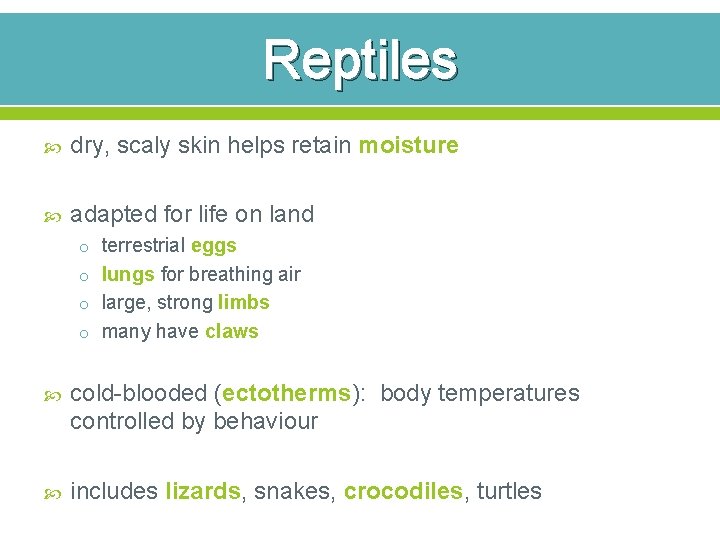 Reptiles dry, scaly skin helps retain moisture adapted for life on land o terrestrial