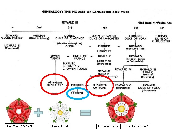 House of Lancaster House of York House of Tudor The “Tudor Rose” 