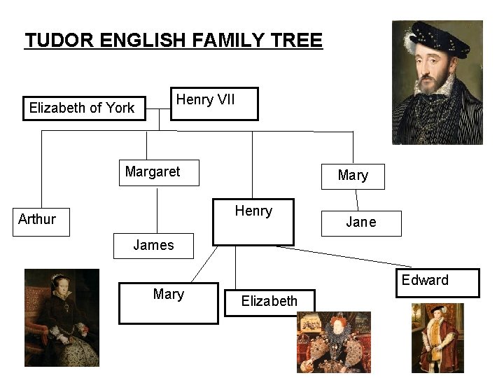 TUDOR ENGLISH FAMILY TREE Henry VII Elizabeth of York Margaret Mary Henry Arthur Jane