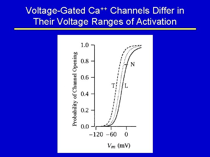 Probability of Channel Opening Voltage-Gated Ca++ Channels Differ in Their Voltage Ranges of Activation