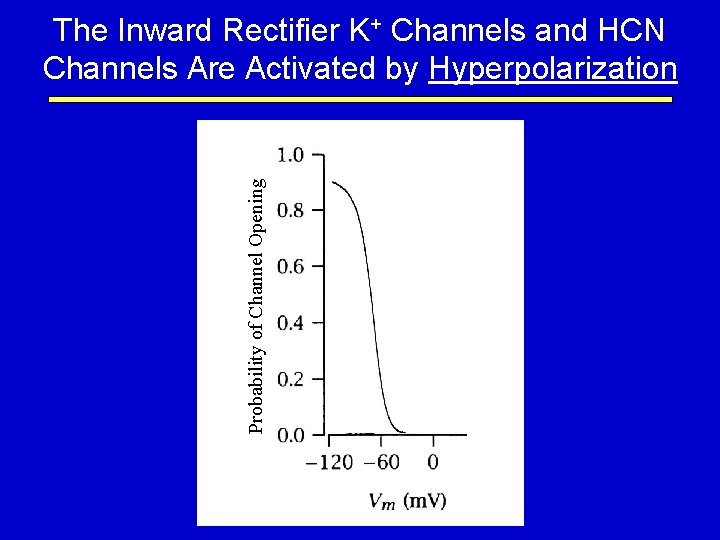Probability of Channel Opening The Inward Rectifier K+ Channels and HCN Channels Are Activated