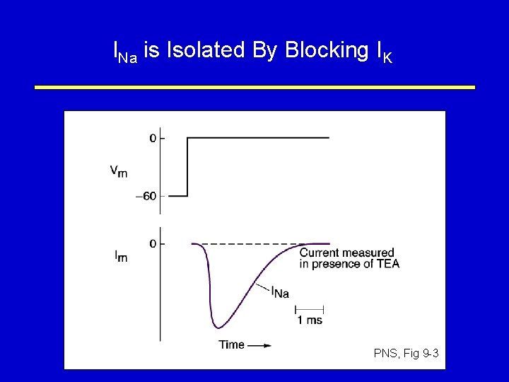 INa is Isolated By Blocking IK PNS, Fig 9 -3 