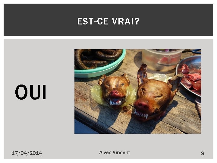 EST-CE VRAI? OUI 17/04/2014 Alves Vincent 3 