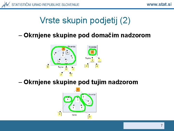 Vrste skupin podjetij (2) – Okrnjene skupine pod domačim nadzorom – Okrnjene skupine pod