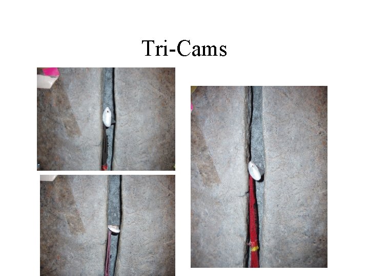 Tri-Cams 