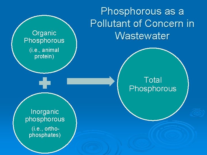 Organic Phosphorous as a Pollutant of Concern in Wastewater (i. e. , animal protein)