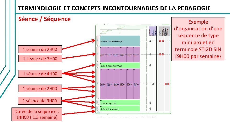 TERMINOLOGIE ET CONCEPTS INCONTOURNABLES DE LA PEDAGOGIE Séance / Séquence Exemple d’organisation d’une séquence