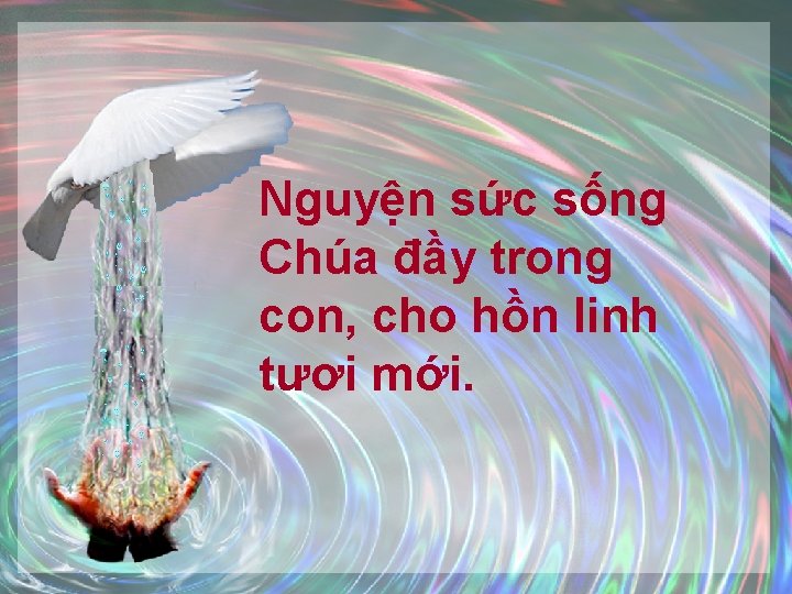 Nguyện sức sống Chúa đầy trong con, cho hồn linh tươi mới. 