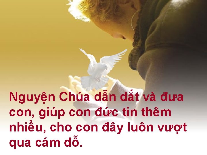 Nguyện Chúa dẫn dắt và đưa con, giúp con đức tin thêm nhiều, cho