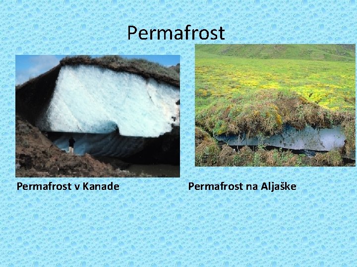 Permafrost v Kanade Permafrost na Aljaške 