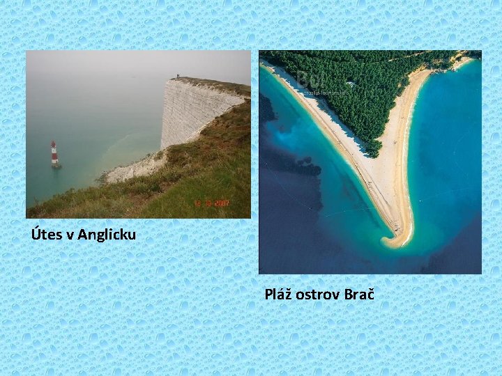 Útes v Anglicku Pláž ostrov Brač 