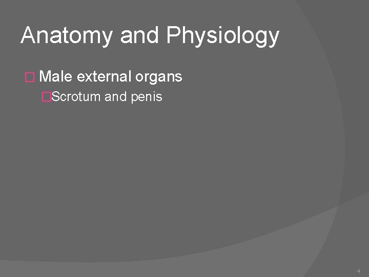 Anatomy and Physiology � Male external organs �Scrotum and penis 4 