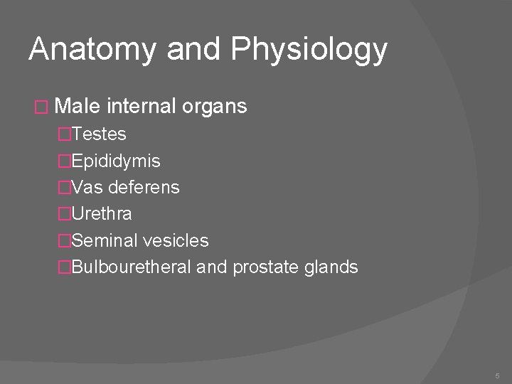 Anatomy and Physiology � Male internal organs �Testes �Epididymis �Vas deferens �Urethra �Seminal vesicles