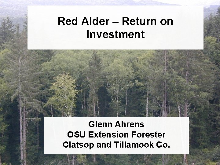 Red Alder – Return on Investment Glenn Ahrens OSU Extension Forester Clatsop and Tillamook