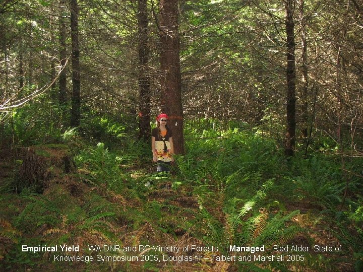 Empirical Yield – WA DNR and BC Ministry of Forests. Managed – Red Alder:
