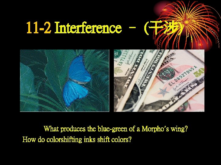 11 -2 Interference – (干涉) What produces the blue-green of a Morpho’s wing? How