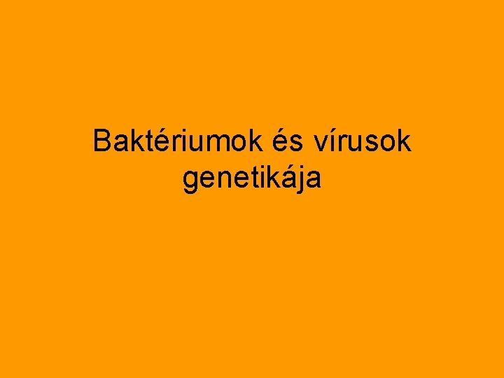 Baktériumok és vírusok genetikája 