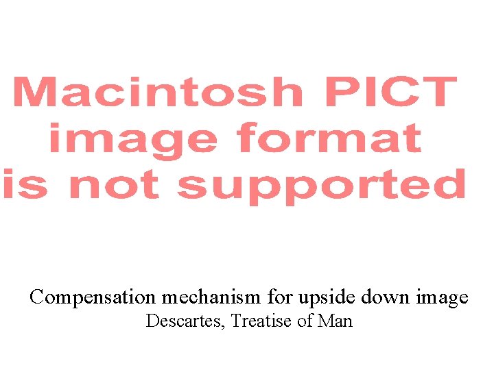 Compensation mechanism for upside down image Descartes, Treatise of Man 