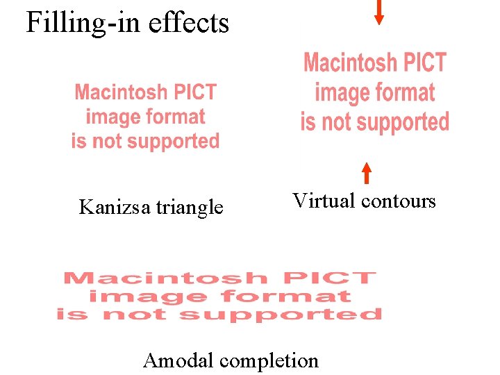 Filling-in effects Kanizsa triangle Virtual contours Amodal completion 