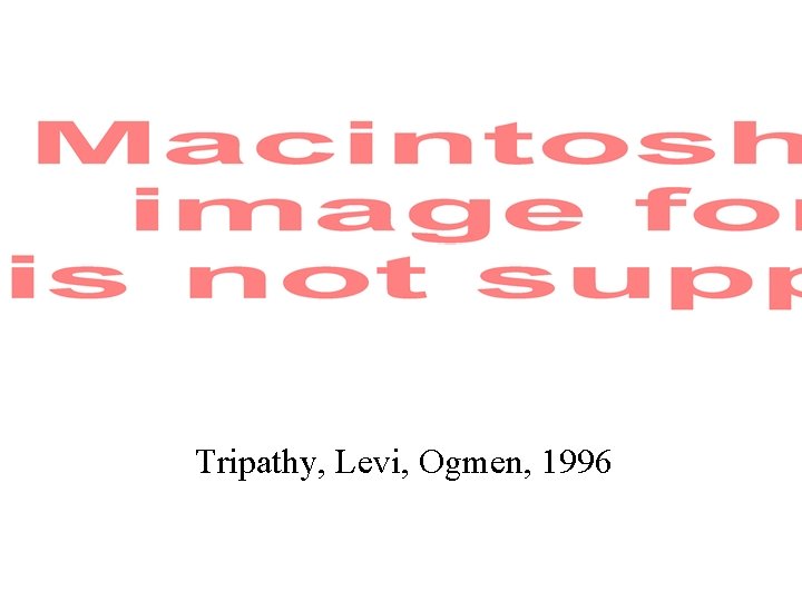 Tripathy, Levi, Ogmen, 1996 