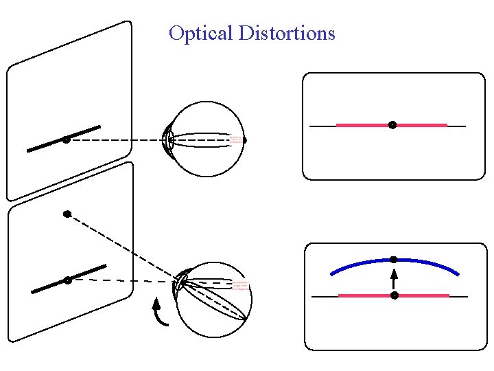 Optical Distortions 