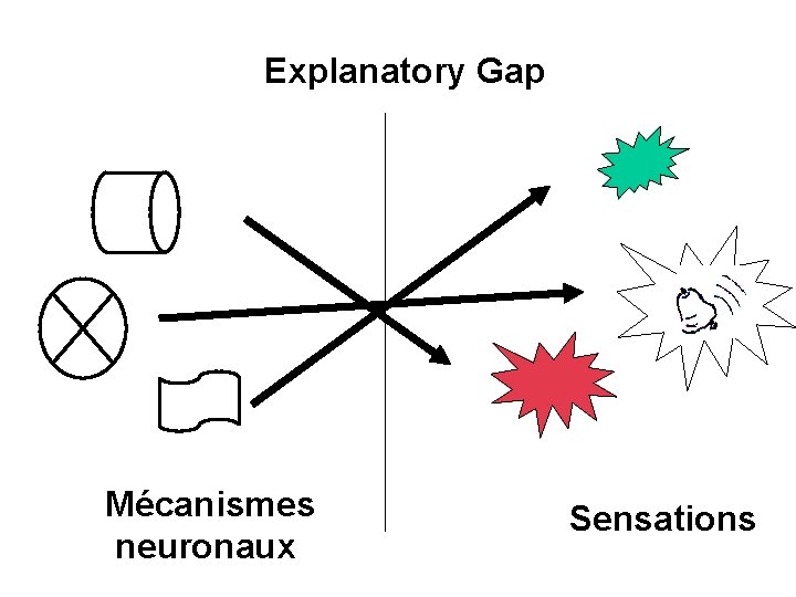 Explanatory Gap Mécanismes neuronaux Sensations 