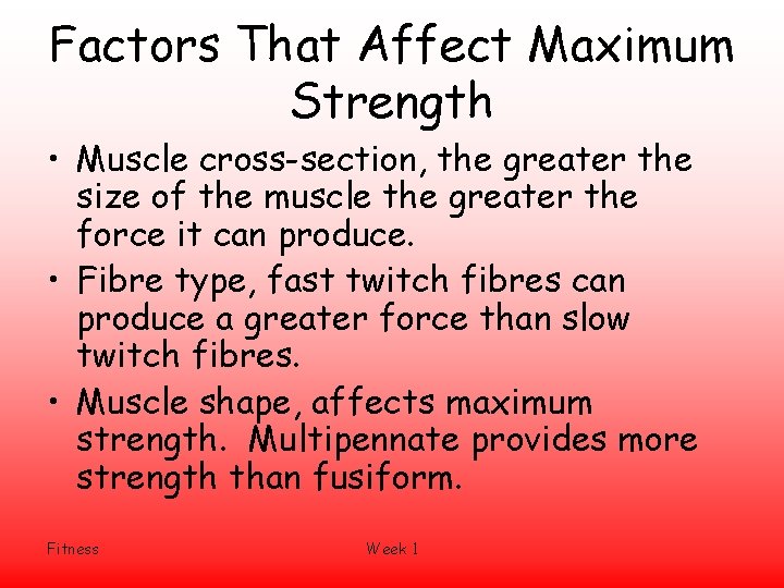 Factors That Affect Maximum Strength • Muscle cross-section, the greater the size of the