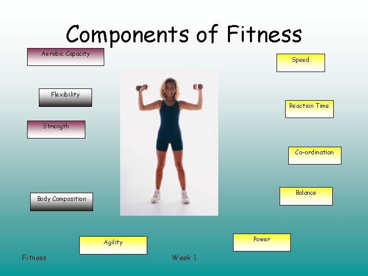 Components of Fitness Aerobic Capacity Speed Flexibility Reaction Time Strength Co-ordination Balance Body Composition